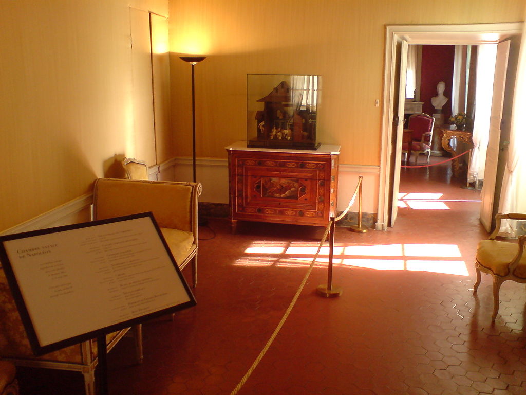 NapoleonBirth