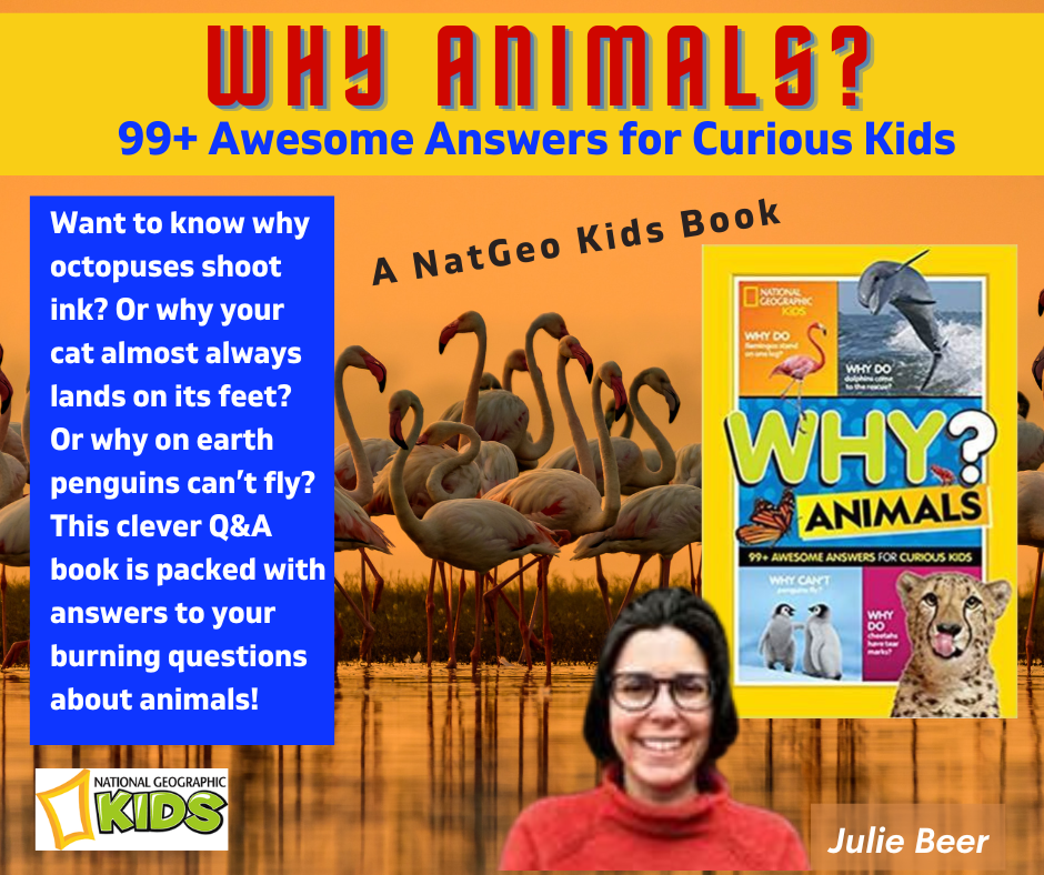 NatGeoKids Animals