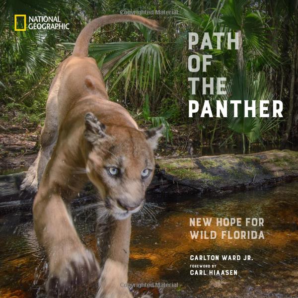 Ward Carlton Path of the Panther 2